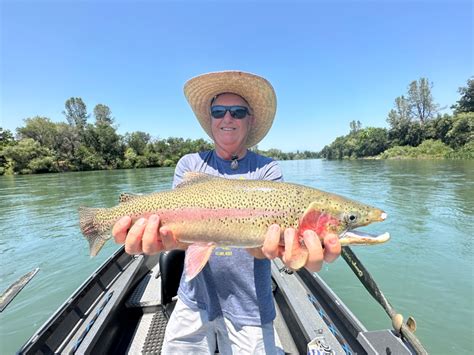 fishing report sacramento river